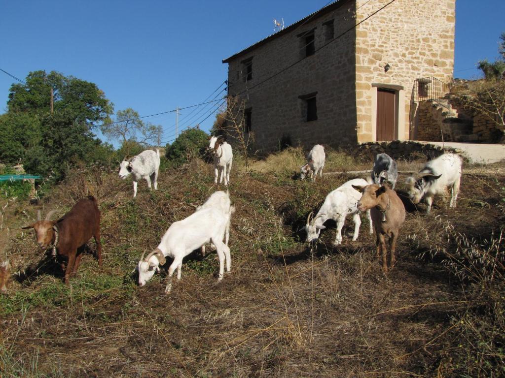 La Telleria Hotel Valjunquera Kültér fotó